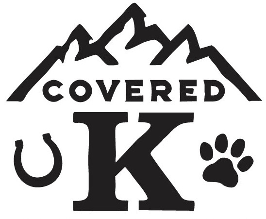 veterinarian dog cat clinic